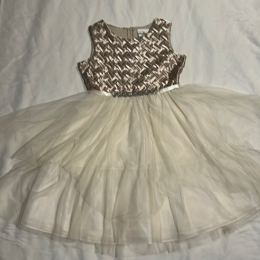Rare Editions big girls party dress size 16.